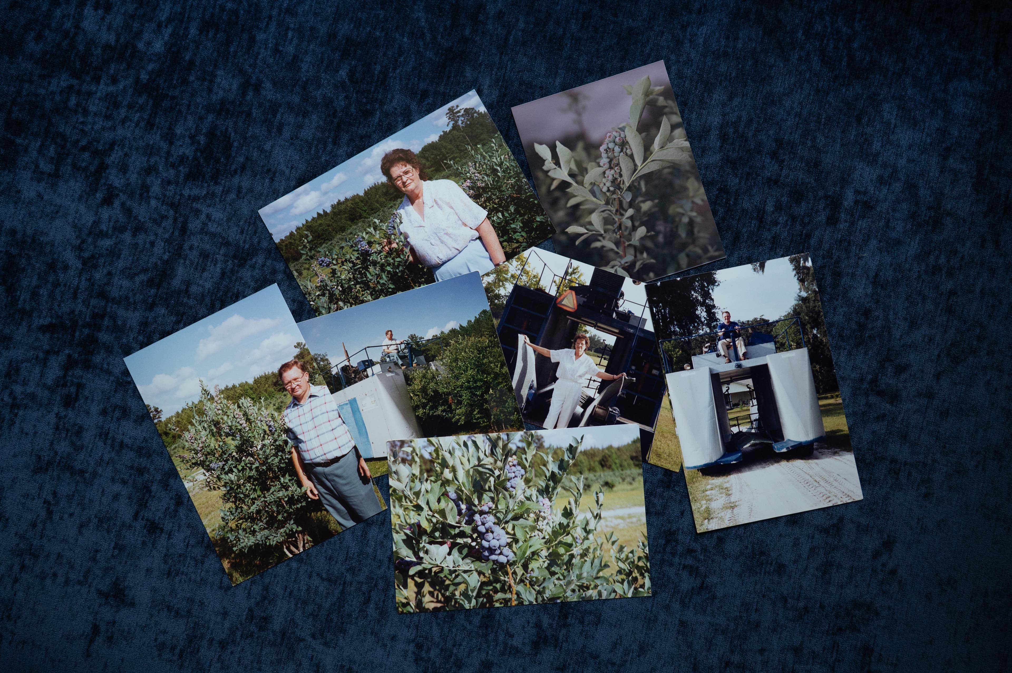 The Young family at their blueberry farm